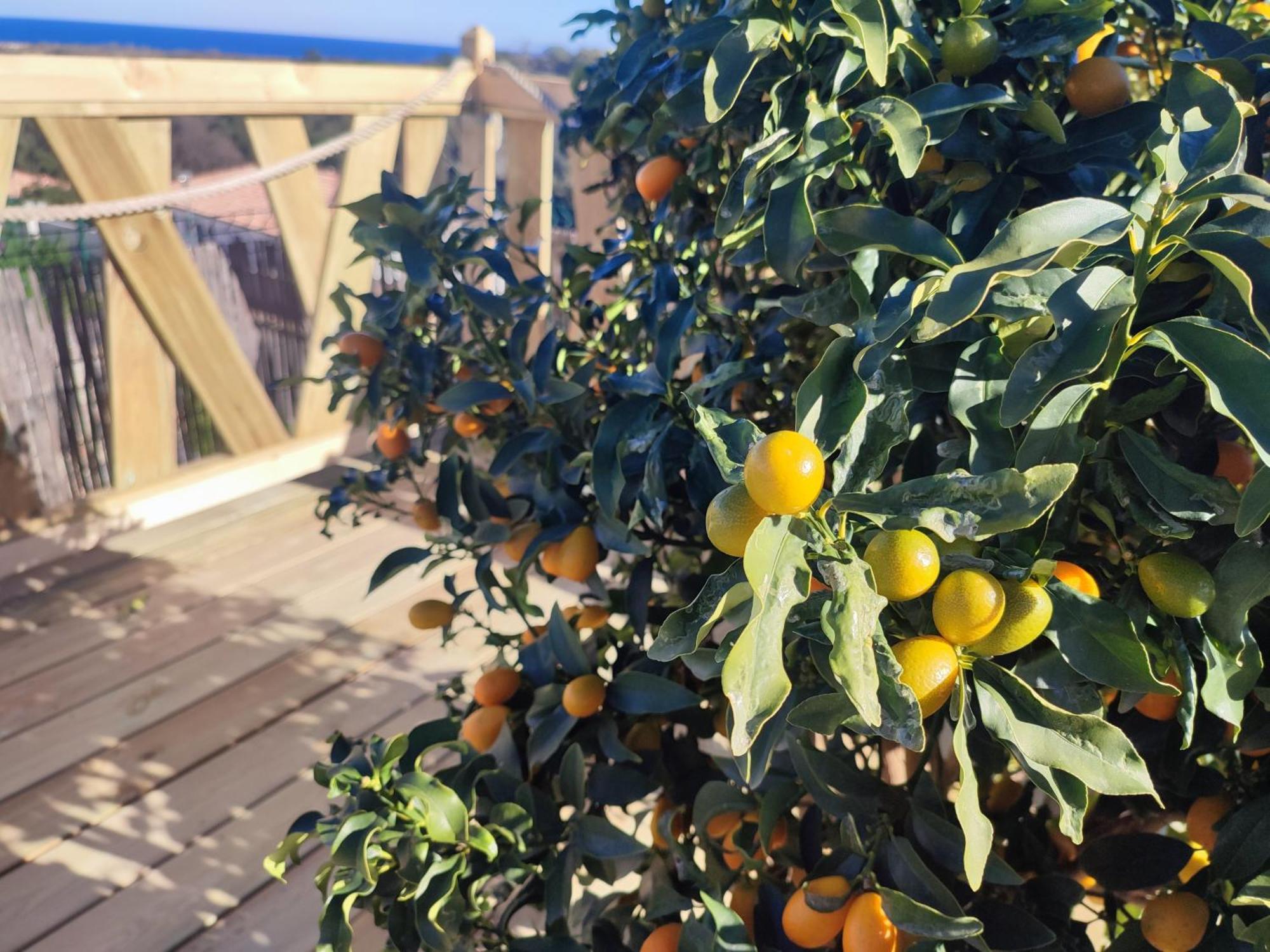 Cote Et Mer - Appartement Haut Standing Dans Villa Avec Piscine Et Vue Mer Taglio-Isolaccio Εξωτερικό φωτογραφία